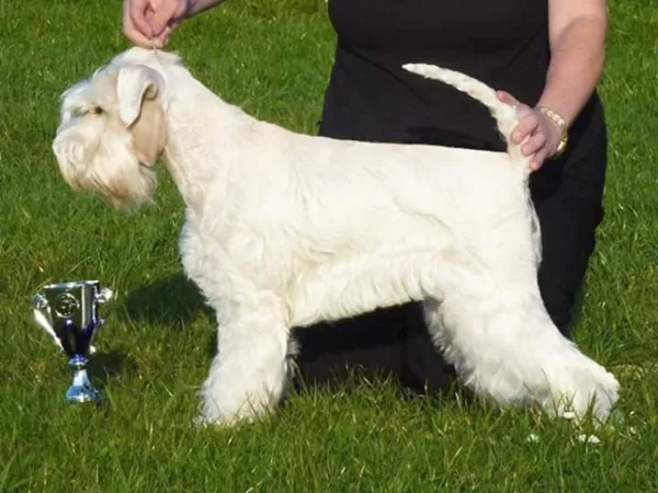 "Lexy" - You Are My Baby Ama-Pepsi